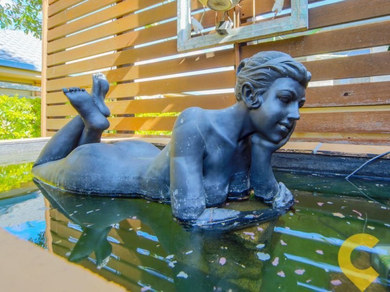 5 Pepperina Court, Ormeau QLD 4208