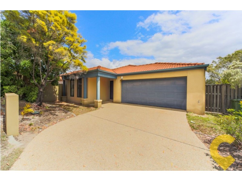 19 Amsonia Court, Arundel QLD 4214