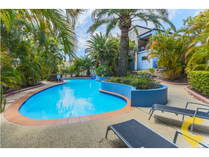 19 Amsonia Court, Arundel QLD 4214