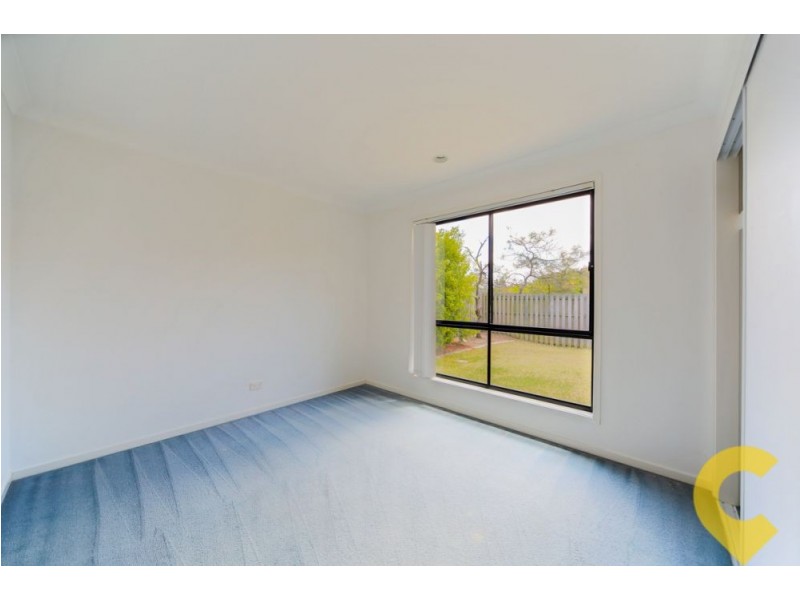 19 Amsonia Court, Arundel QLD 4214