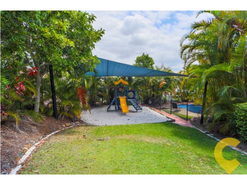 19 Amsonia Court, Arundel QLD 4214