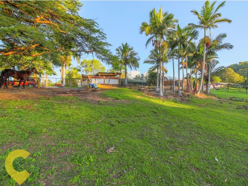 3 Fleur Court, Upper Coomera QLD 4209