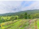 48 Double Crossing Road, Canungra QLD 4275