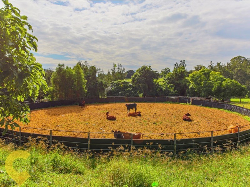 48 Double Crossing Road, Canungra QLD 4275