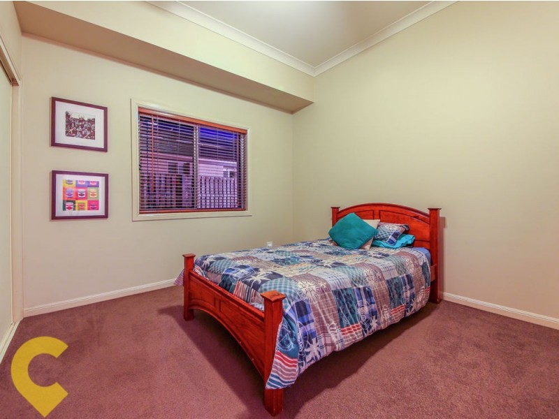19 Candlebark Circuit, Upper Coomera QLD 4209