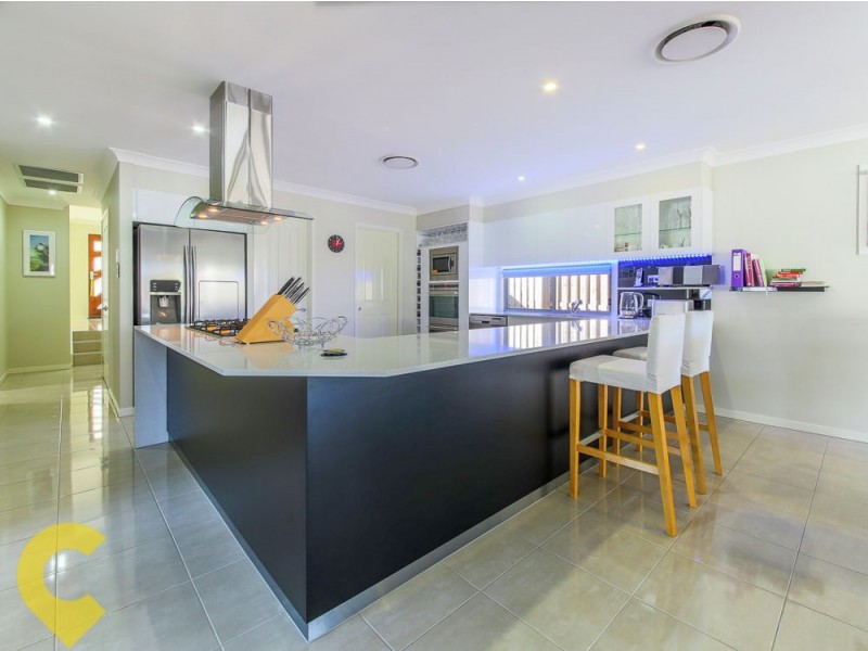 57 Wildflower Cct, Upper Coomera QLD 4209