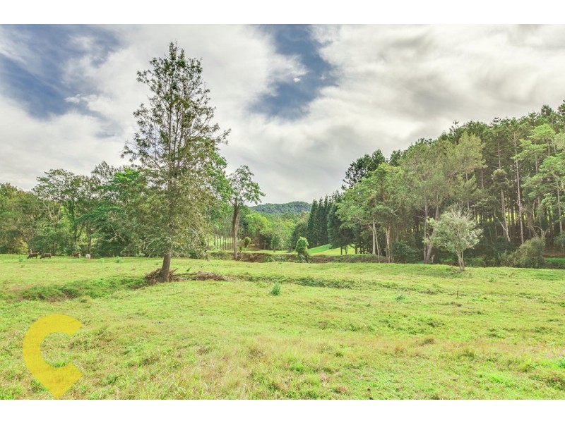 318 Gold Coast Springbrook Road, Mudgeeraba QLD 4213