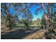 314 Foxwell Road, Coomera QLD 4209