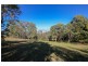 314 Foxwell Road, Coomera QLD 4209
