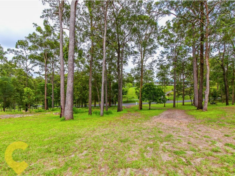 52 Coulter Road, Willow Vale QLD 4209