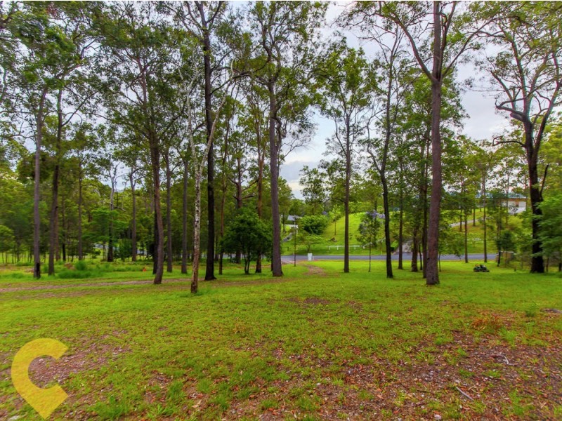 52 Coulter Road, Willow Vale QLD 4209
