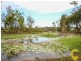 3 Bottletree Court, Coomera QLD 4209
