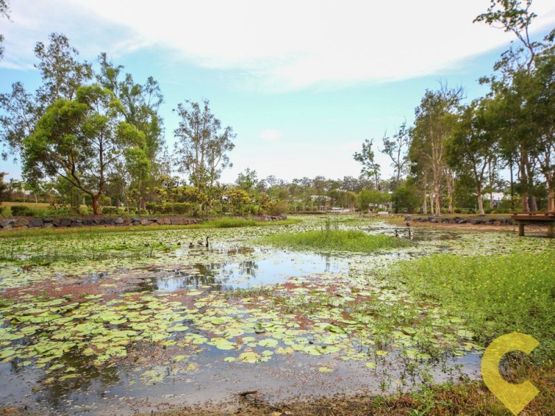 3 Bottletree Court, Coomera QLD 4209