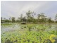 3 Bottletree Court, Coomera QLD 4209