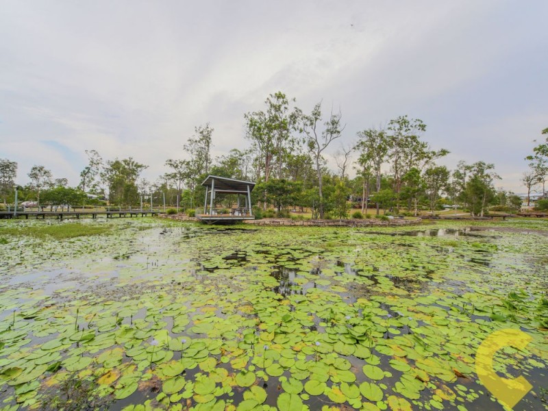 3 Bottletree Court, Coomera QLD 4209