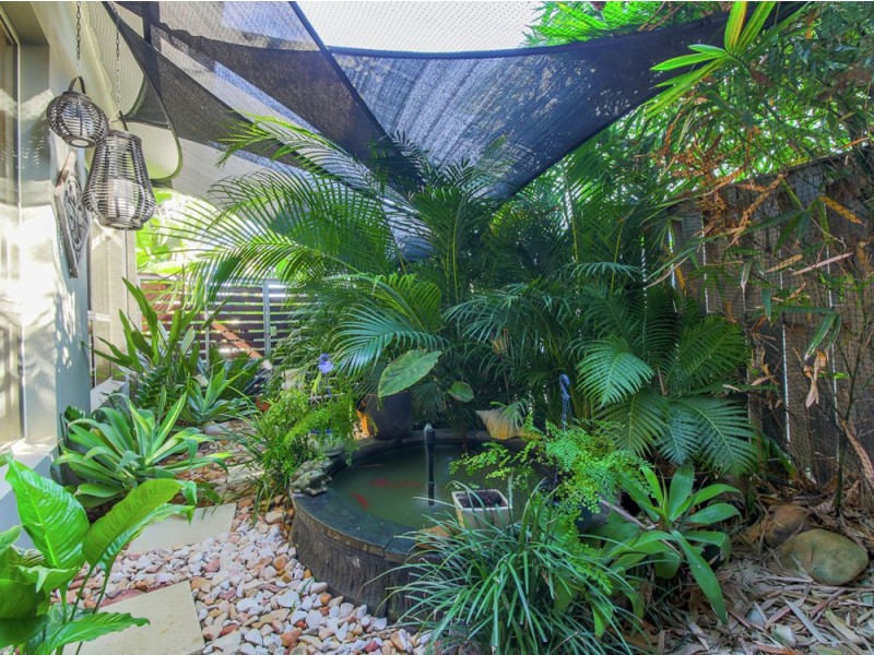 6 Picnic Creek Drive, Coomera QLD 4209