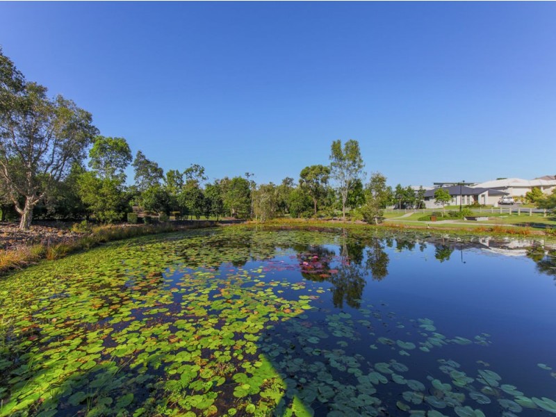 6 Picnic Creek Drive, Coomera QLD 4209