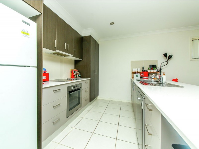 6 Alessandra Circuit, Coomera QLD 4209