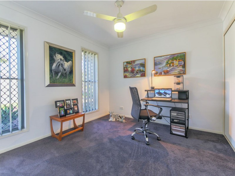 4 Daintree Drive, Coomera QLD 4209