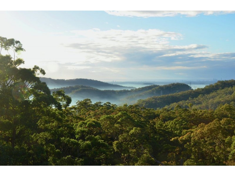 1525 Tamborine – Oxenford Road, Wongawallan QLD 4210