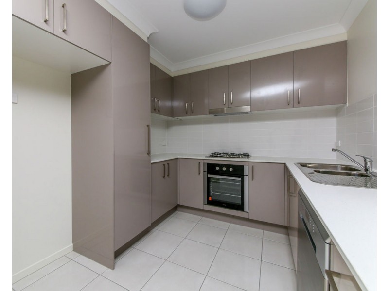 8 Taurus Circuit, Coomera QLD 4209