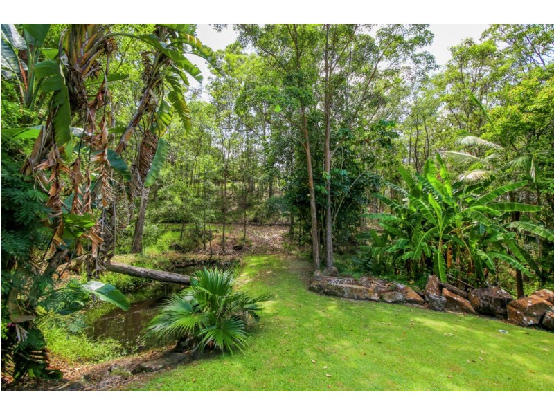 87 Wallaby Drive, Mudgeeraba QLD 4213