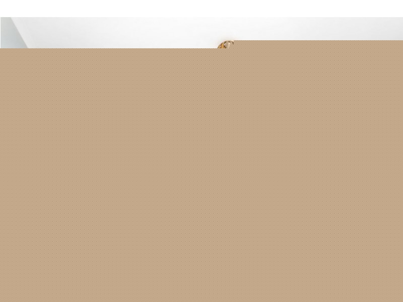 4 Hickey Street, Coomera QLD 4209