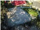 8 Patterson Court, Upper Coomera QLD 4209