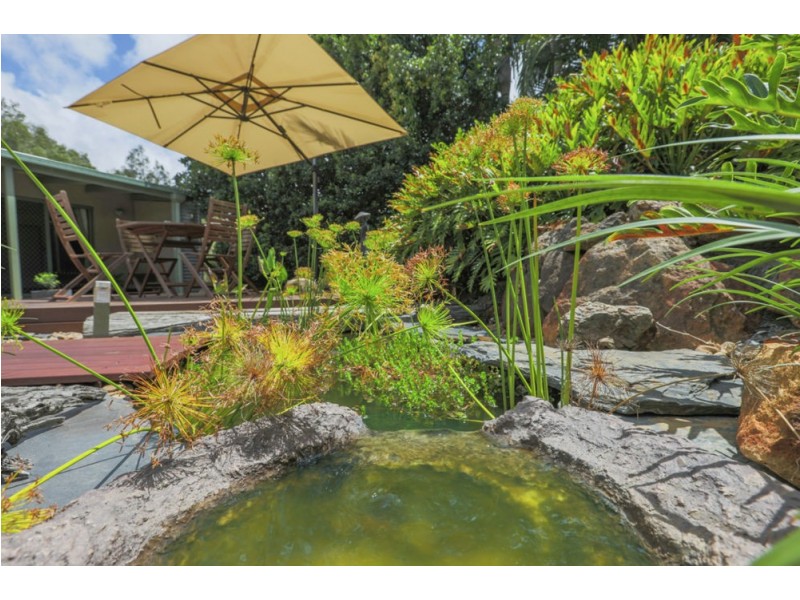 18 Petrel Place, Jacobs Well QLD 4208