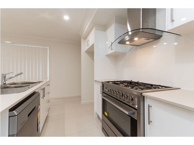 19 Plum Pine St, Maudsland QLD 4210