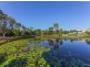 6 Picnic Creek Drive, Coomera QLD 4209
