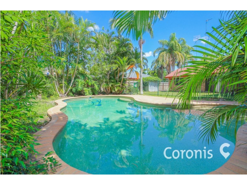 20 Plateau Crescent, Carrara QLD 4211