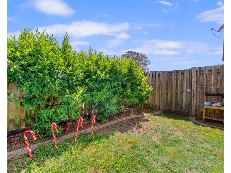 14/2 Bos Drive, Coomera QLD 4209