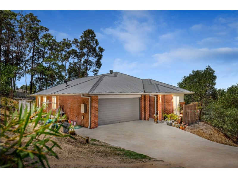 22 Mungana Drive, Upper Coomera QLD 4209