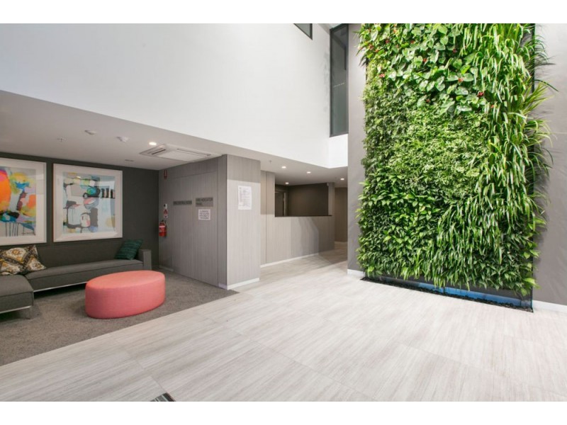 1089/123-125 Cavendish Road, Coorparoo QLD 4151