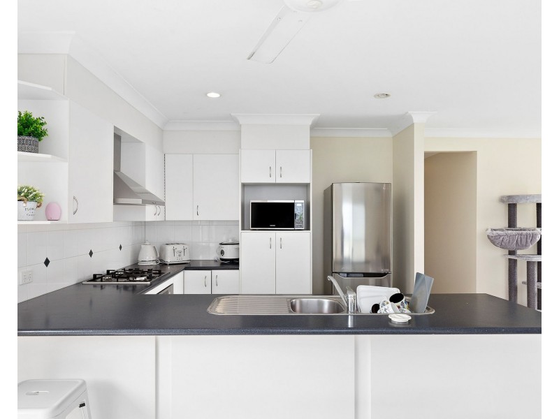 31 Talpa Street, Coomera QLD 4209