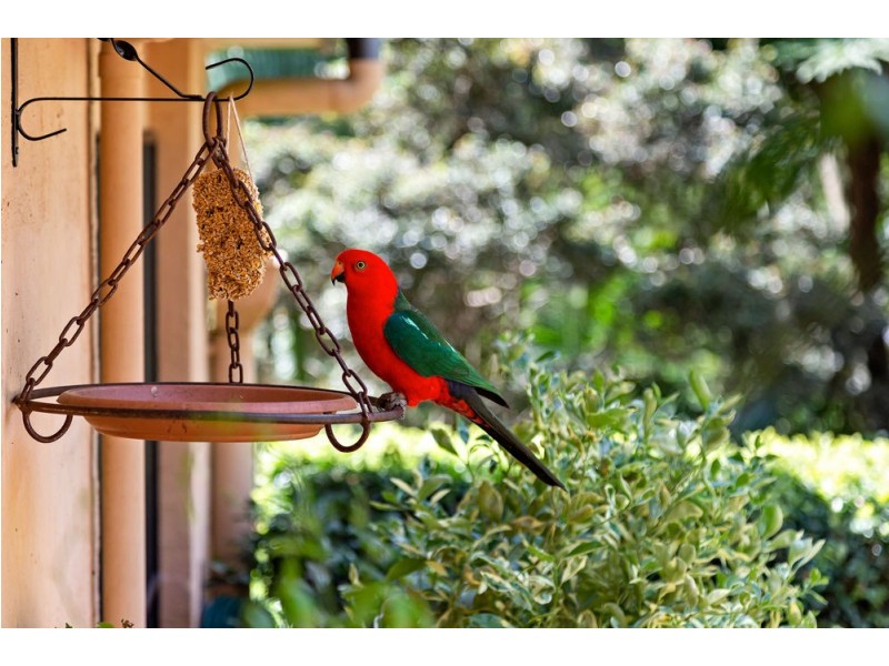 5-7 Platt Place, Tamborine Mountain QLD 4272