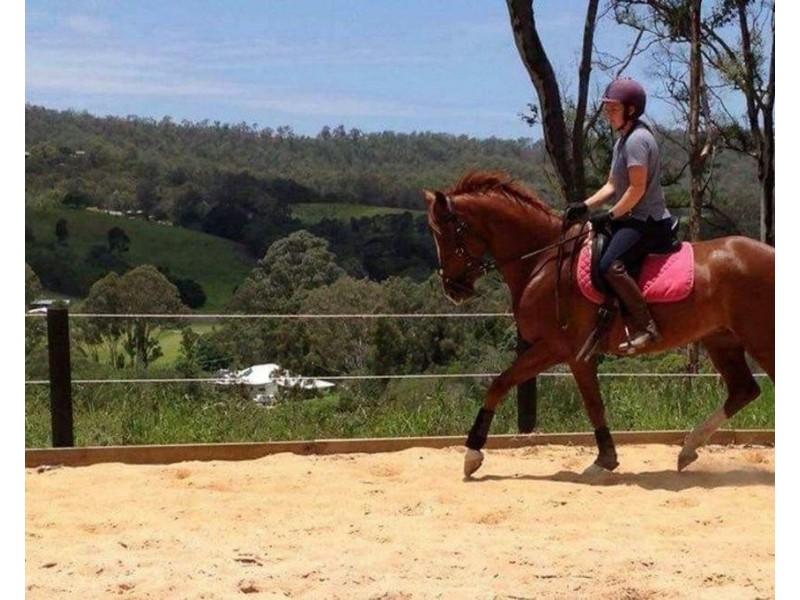 2/130 Thomsons Road, Kingsholme QLD 4208