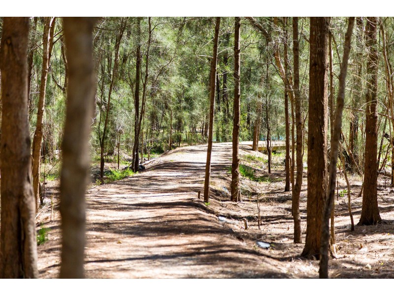 1/28 Sanctuary Court, Coombabah QLD 4216