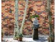 24 Vaughan Drive,, Ormeau QLD 4208