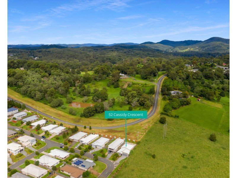 52 Cassidy Cres, Willow Vale QLD 4209