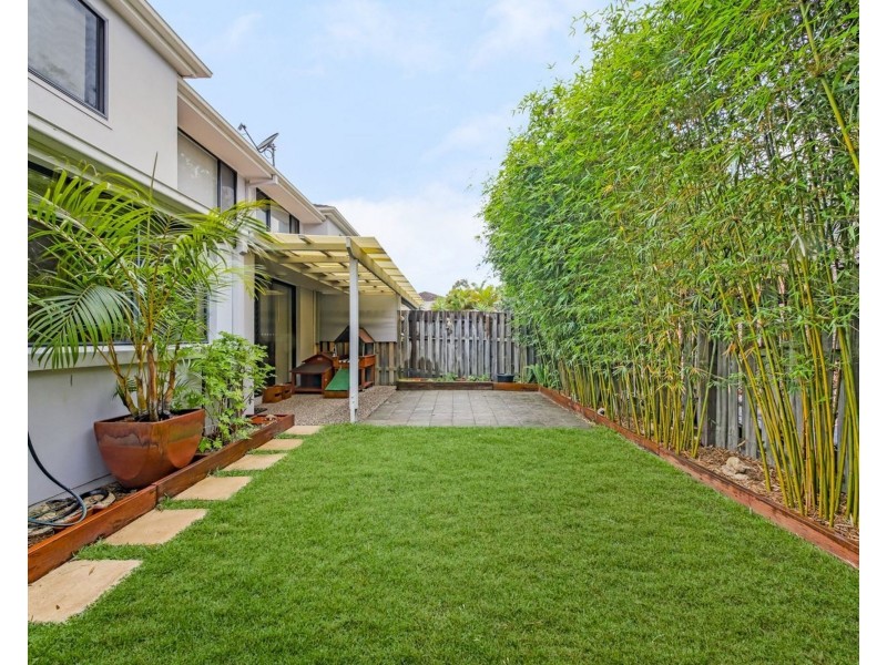 14/1 Hervey Street, Pacific Pines QLD 4211