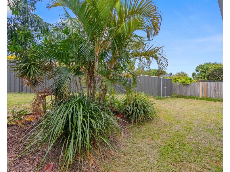 11 Merlin Place, Ormeau QLD 4208