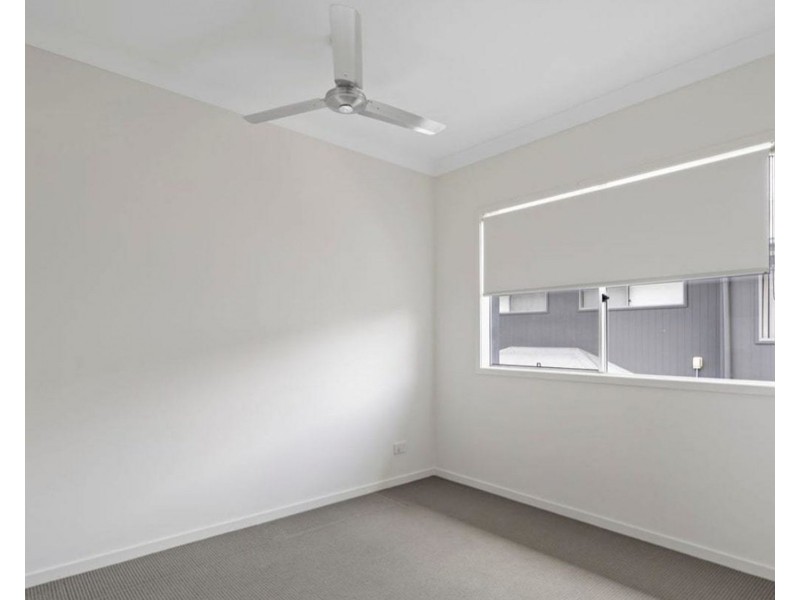 14 Frogmouth Street, Upper Coomera QLD 4209