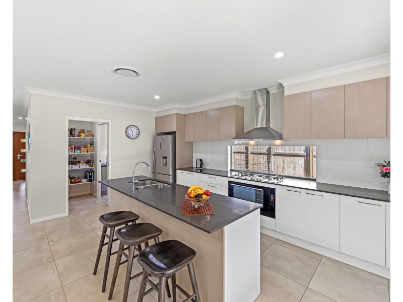 17 Coorong Street, Coomera QLD 4209