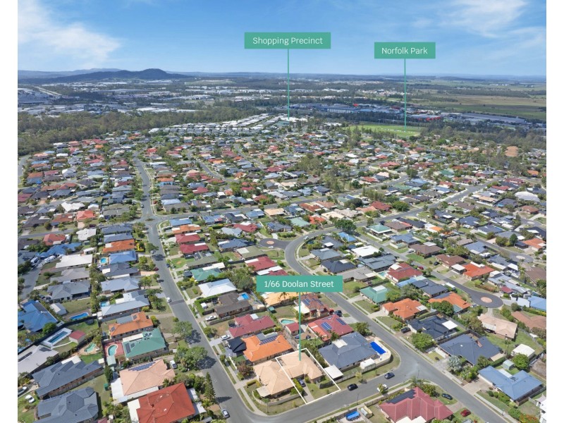 66 Doolan Street, Ormeau QLD 4208