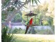 1-3 Borneo Court, Tamborine Mountain QLD 4272