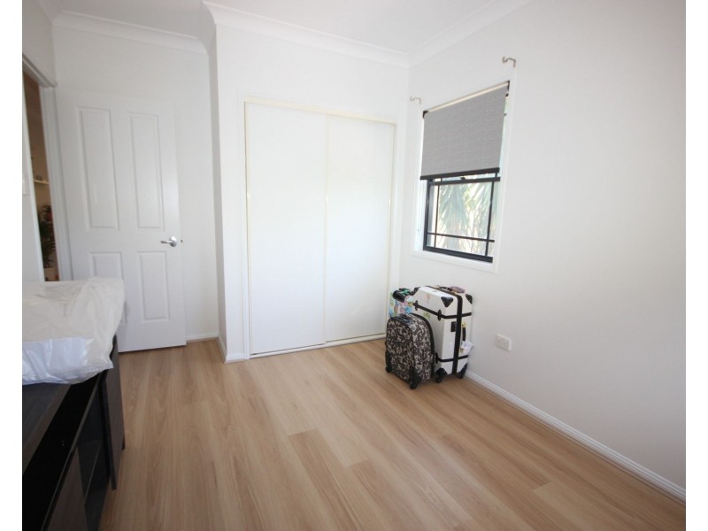 50 Vivacity Drive, Upper Coomera QLD 4209