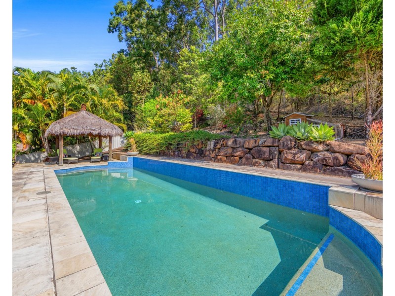 37 Callicarpa Street, Reedy Creek QLD 4227