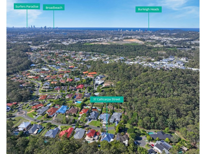 37 Callicarpa Street, Reedy Creek QLD 4227